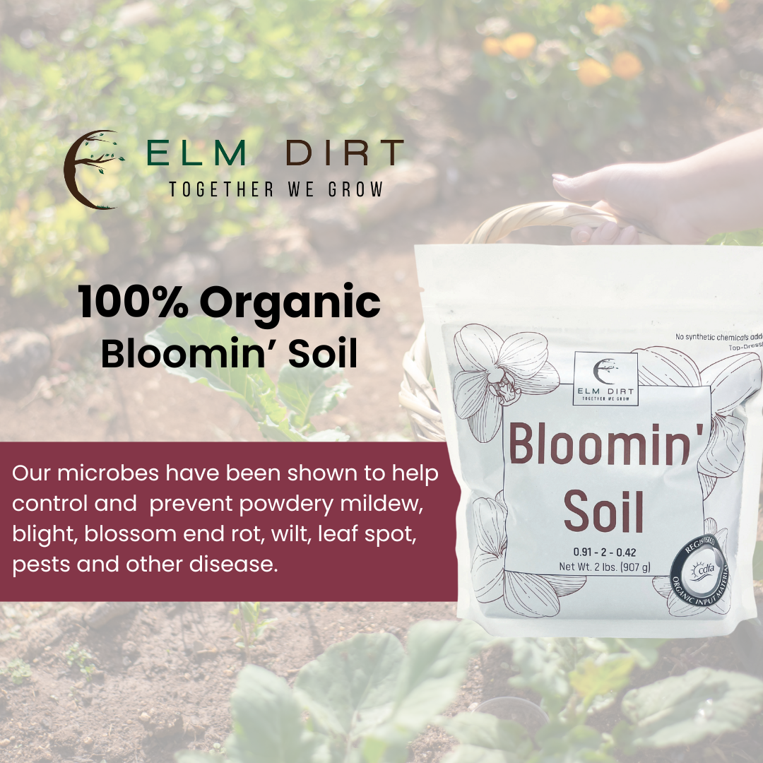 Bloomin' Soil - Organic Flower Booster for Bigger, Longer-Lasting Blooms