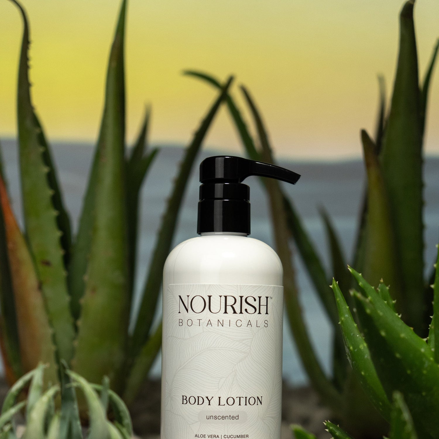 Aloe Vera Body Lotion | Unscented