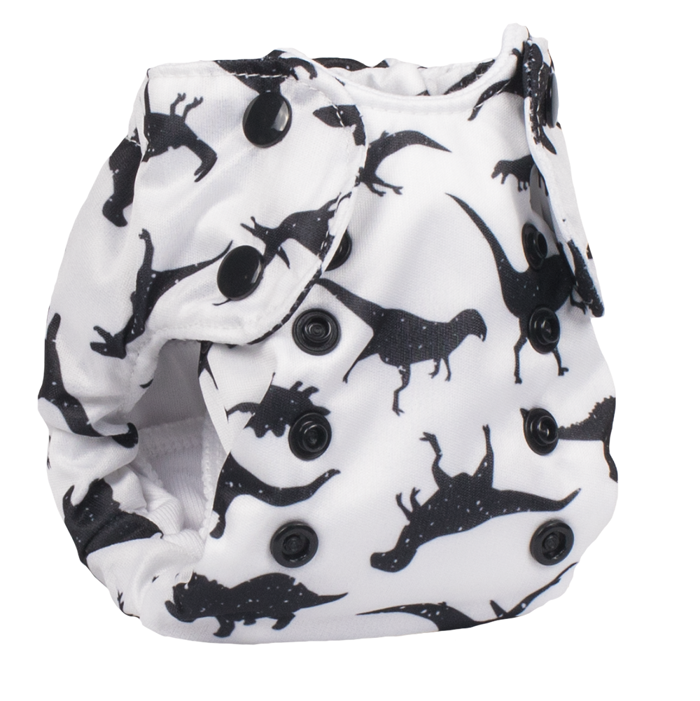 Born Smart 2.0 - Rawr!