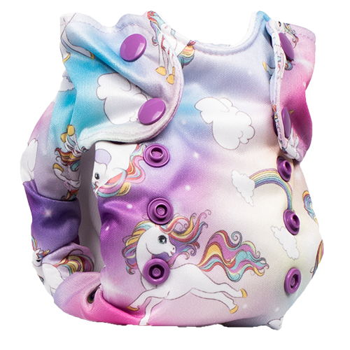 Born Smart 2.0 - Chasing Rainbows