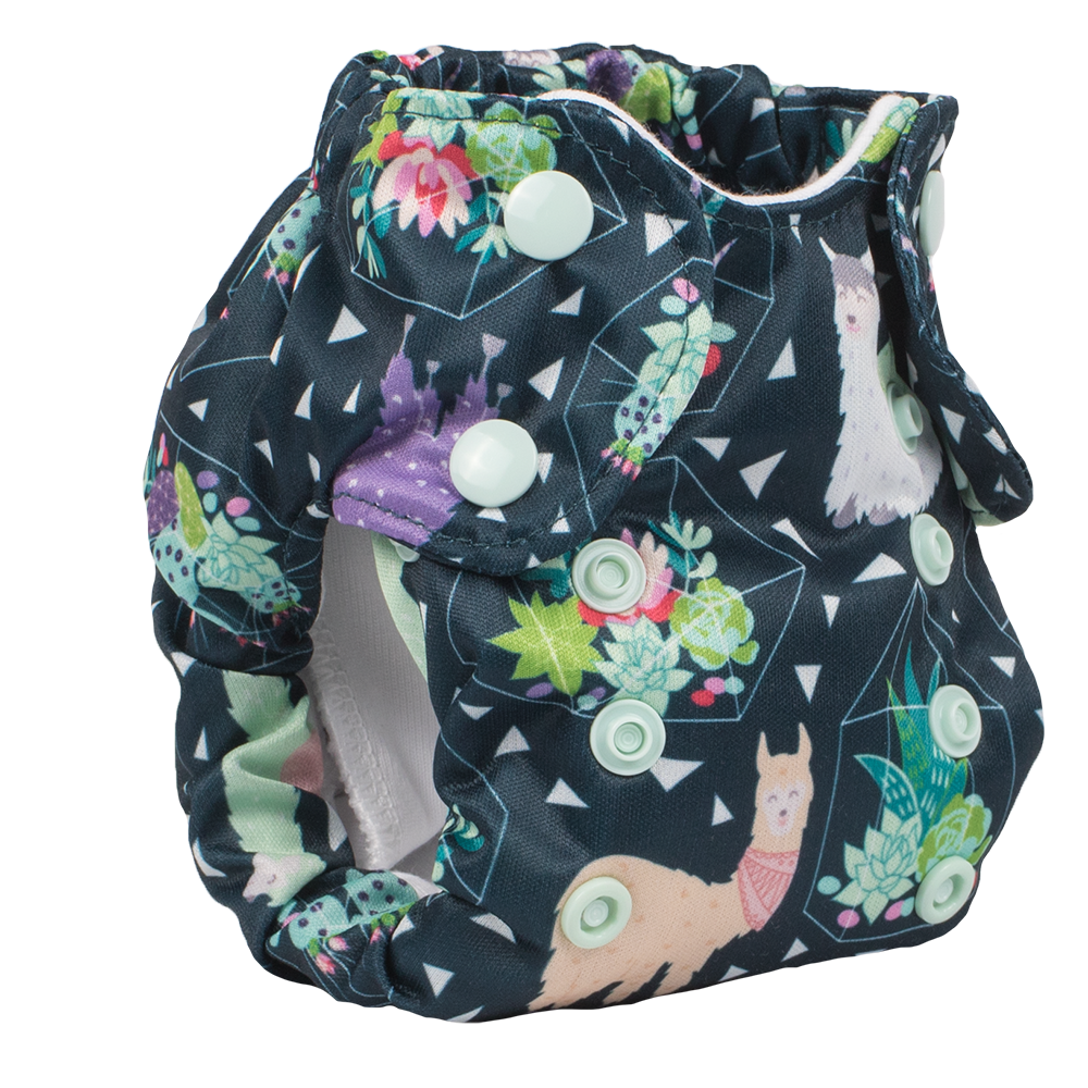 Born Smart 2.0 - Tina