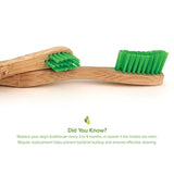 Bamboo Toothbrush for Large Dogs - Organic Dental Solutions®