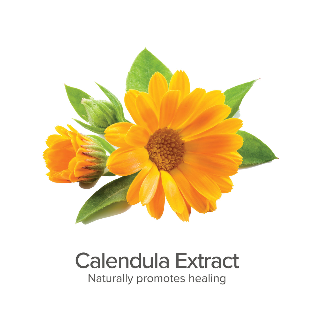 Certified Organic Boo Boo Balm - Unscented