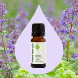 Catnip Essential Oil