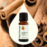 Cinnamon Cassia Essential Oil