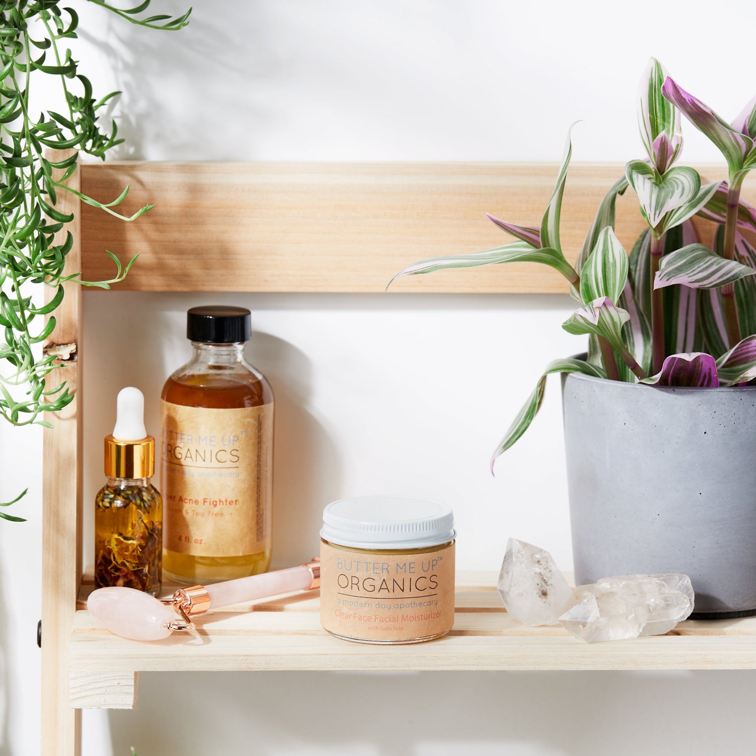 Clear Face Moisturizer / Face Cream Facial Moisturizer Organic