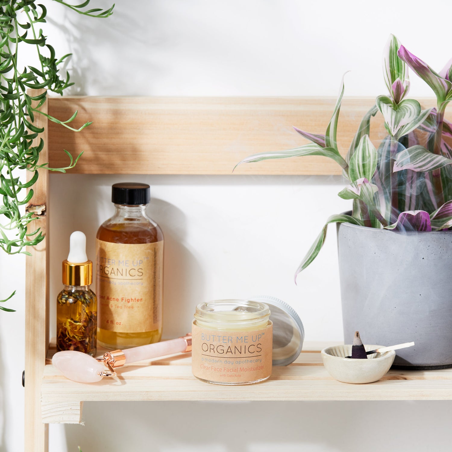 Clear Face Moisturizer / Face Cream Facial Moisturizer Organic