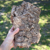 Natural Cork Bark Displays & Waterproof Glue - Create a Unique Vertical Garden Display!