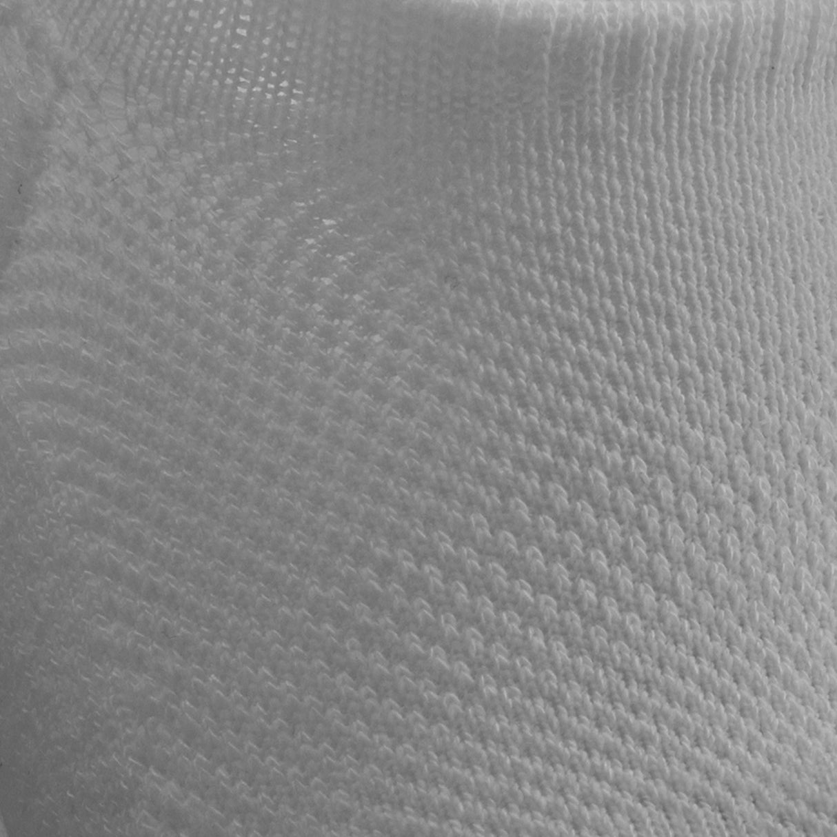 The Women's No Show Sock