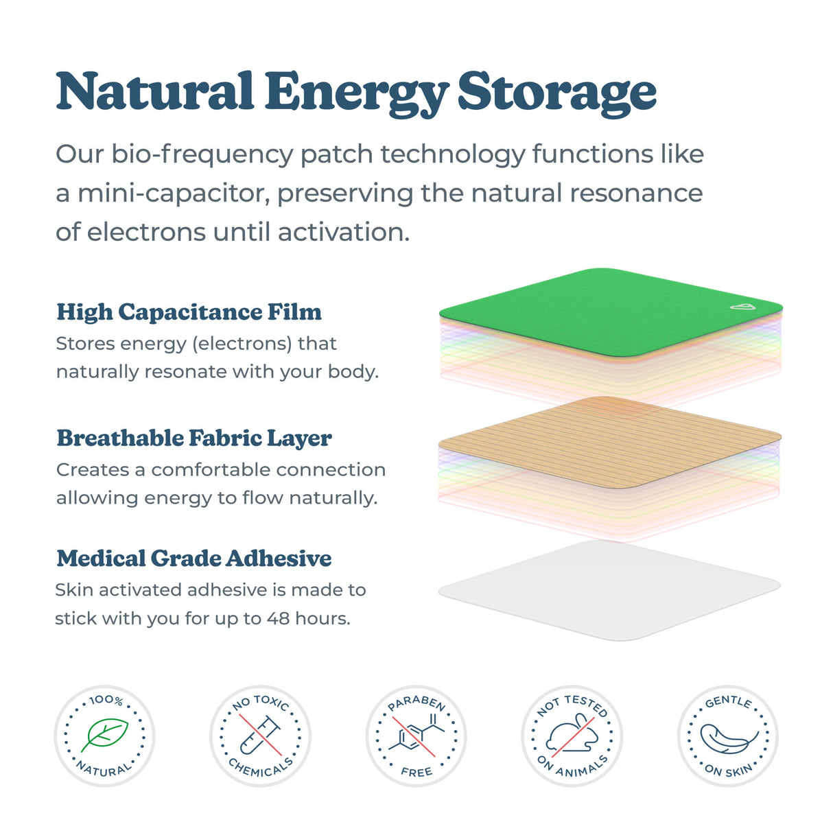 Stay Focused (Refill)