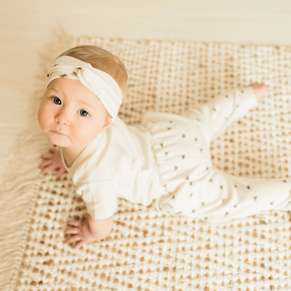 lounge pants | busy bees