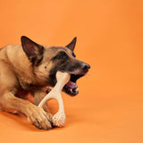 BetterBone HARD CHEW TOY: Natural Ingredients, eco-friendly, and ultra-durable chew for the toughest chewers!
