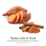 Tooth Gel and Bamboo Toothbrush for Small Dogs - Organic Dental Solutions®