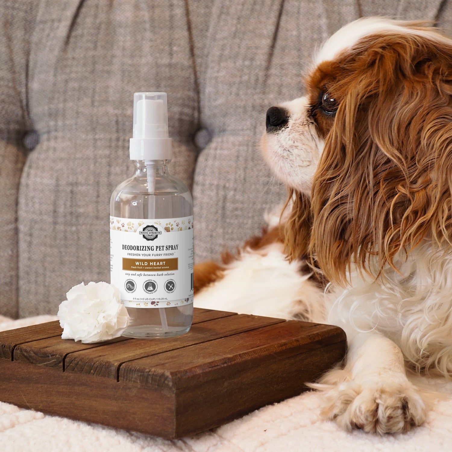Pet Bundle | Scented