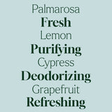 Deodorizing Powder