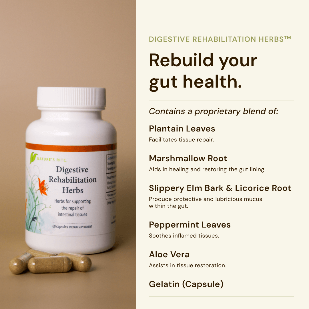 Digestive Rehabilitation Herbs