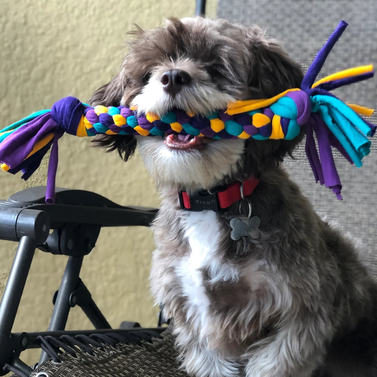 Tee-Bone Dog Toy