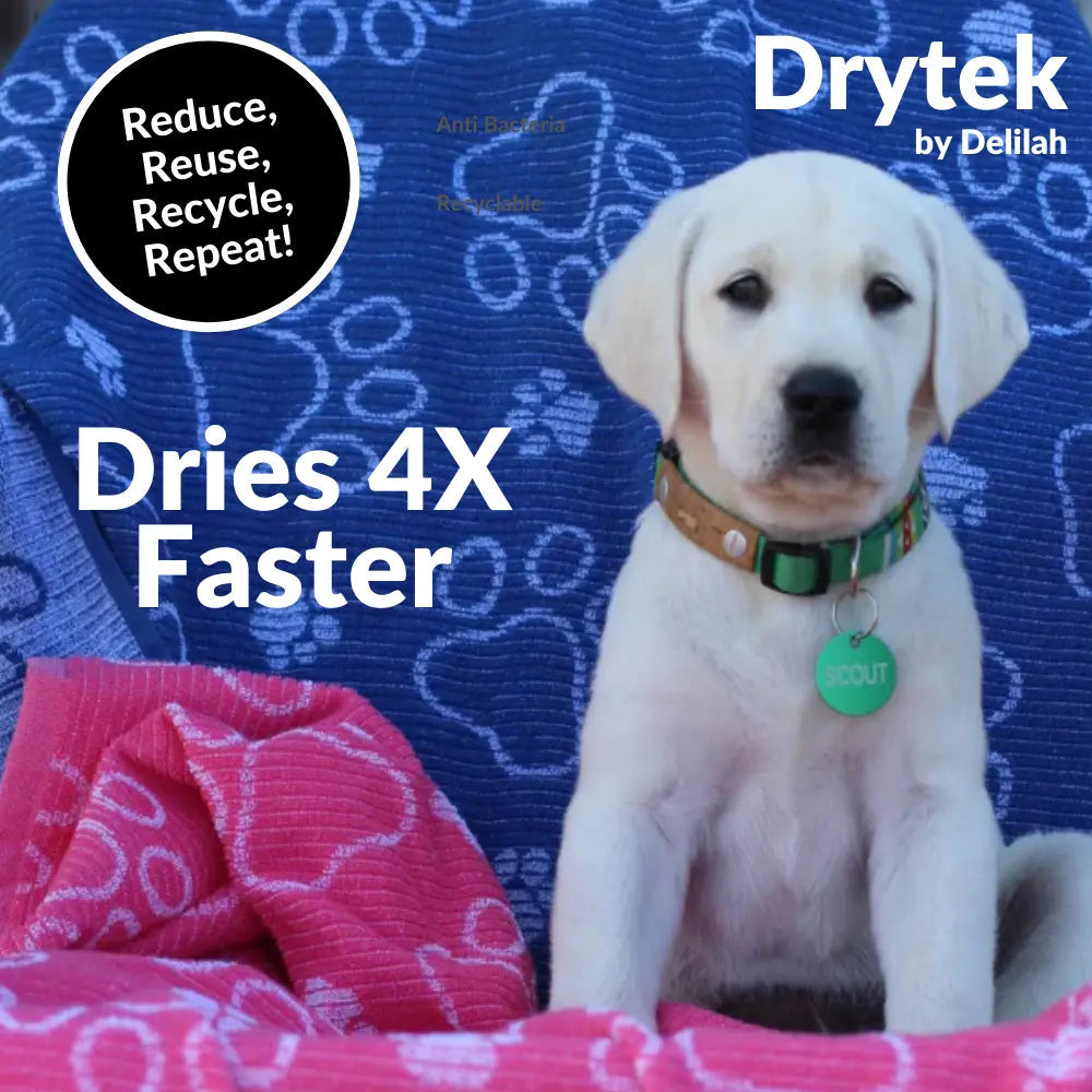 Drytek Dog Towel