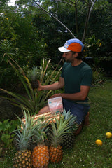 Pineapple Magnesium (sleep)