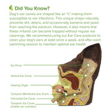 Ear Cleansing System