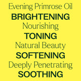Evening Primrose Carrier Oil