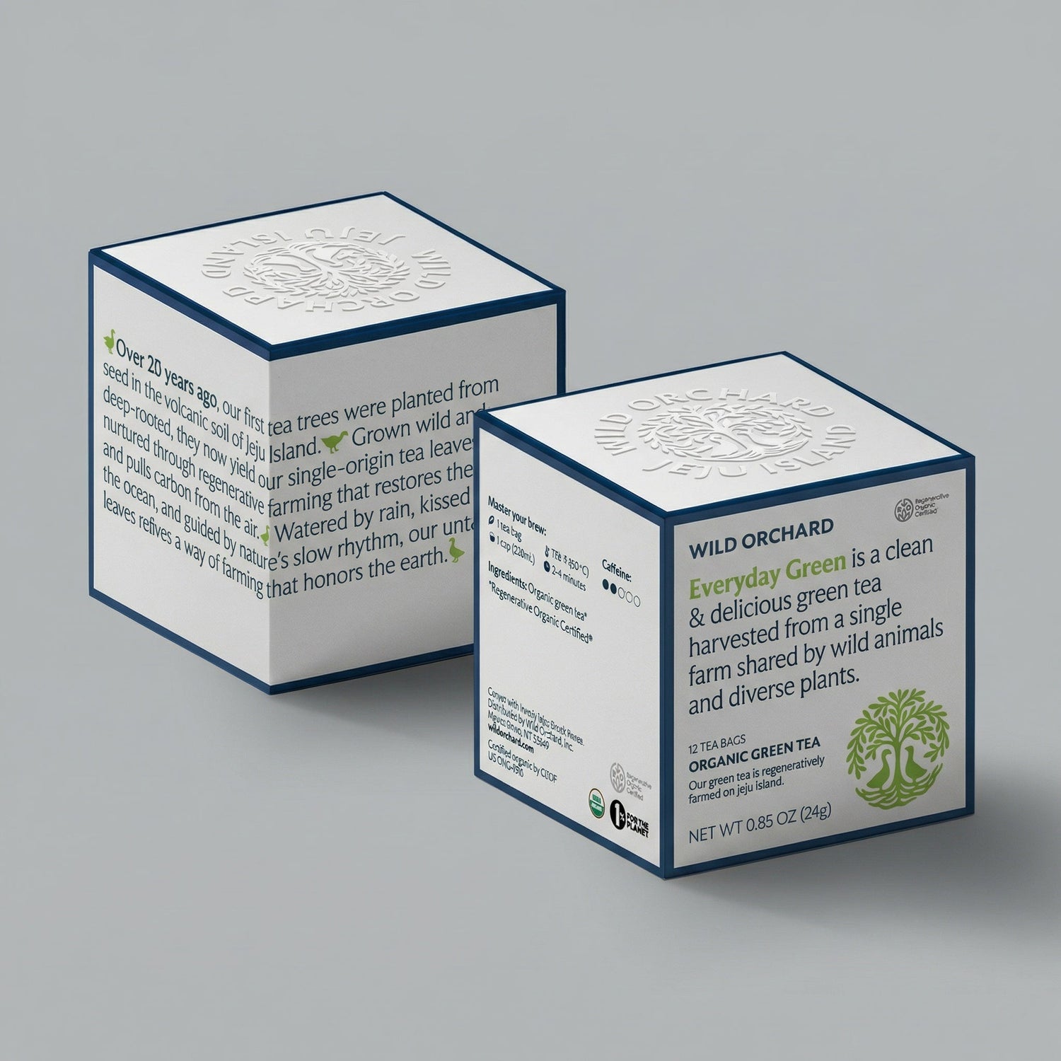 Everyday Green - Organic Green Tea Bag