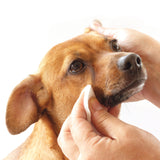 Tear Stain Removing Under Eye Wipes