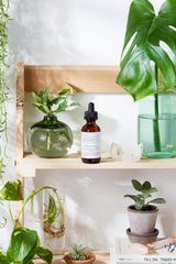 Organic Face & Eye Serum / Organic Facial Oil / Anti-Aging Serum / Organic Facial Serum / Natural Face Oil Butter Me Up Organics /