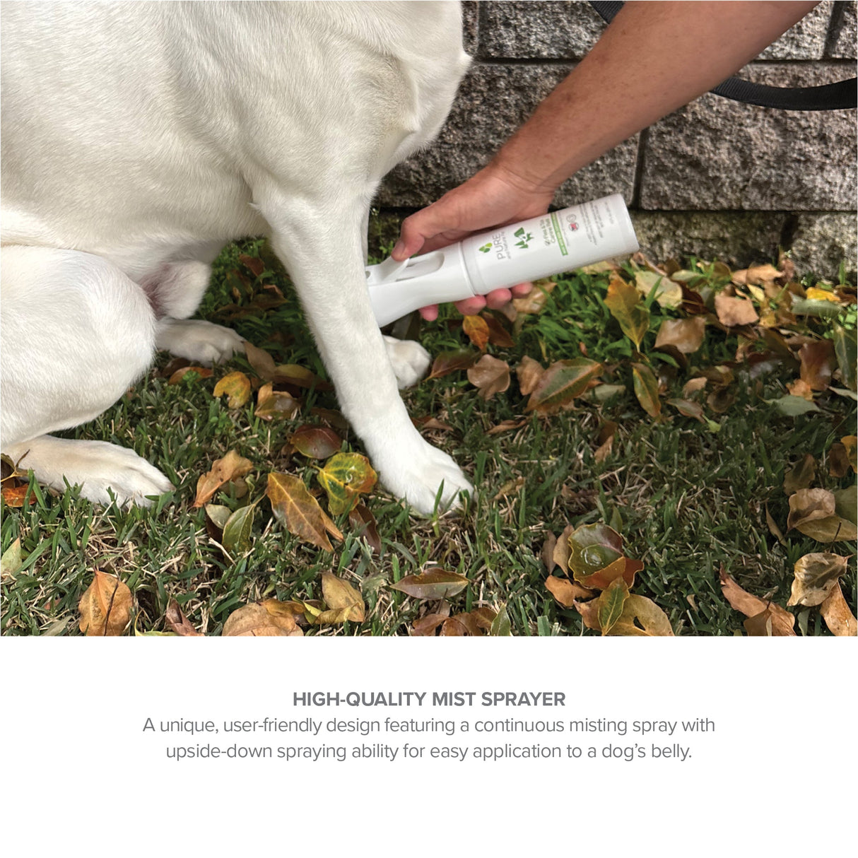 Flea and Tick Spray for Dogs