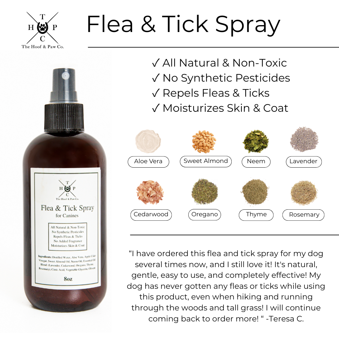 Flea & Tick Spray for Dogs