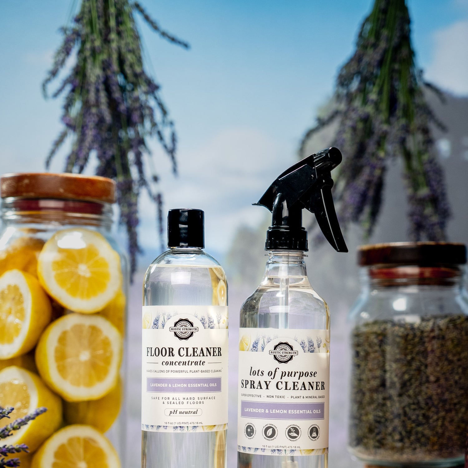 Floor Cleaner Concentrate | Lavender & Lemon