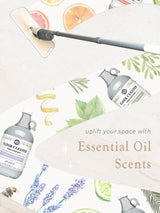 Floor Cleaner Concentrate | Unscented