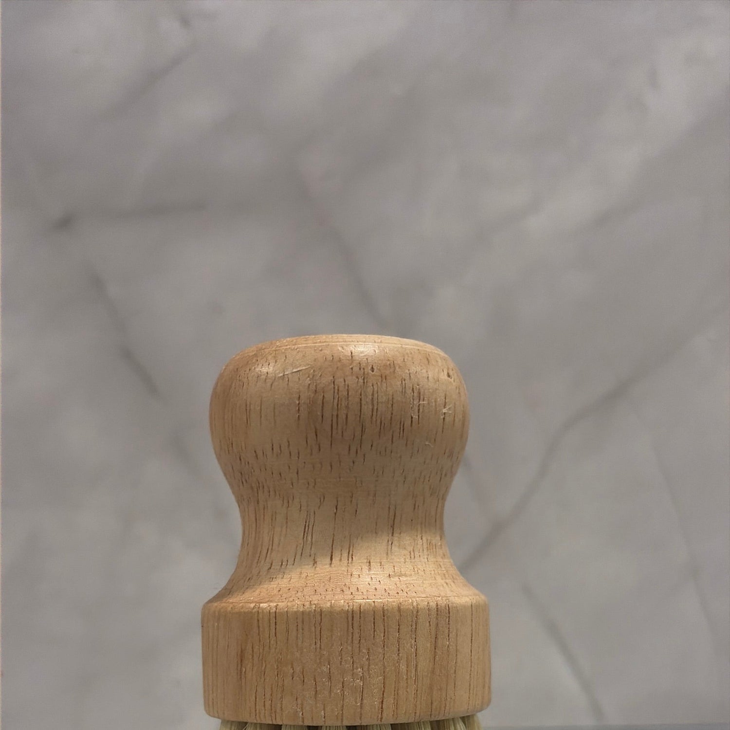 Solid Dish Soap (Citrus)