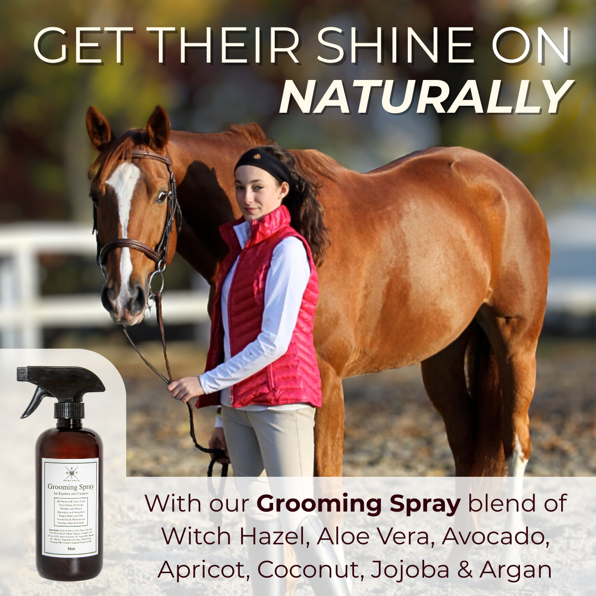 Grooming Spray for Dogs & Horses - 16oz