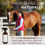 Grooming Spray for Dogs & Horses - 16oz