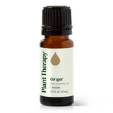 Ginger Essential Oil
