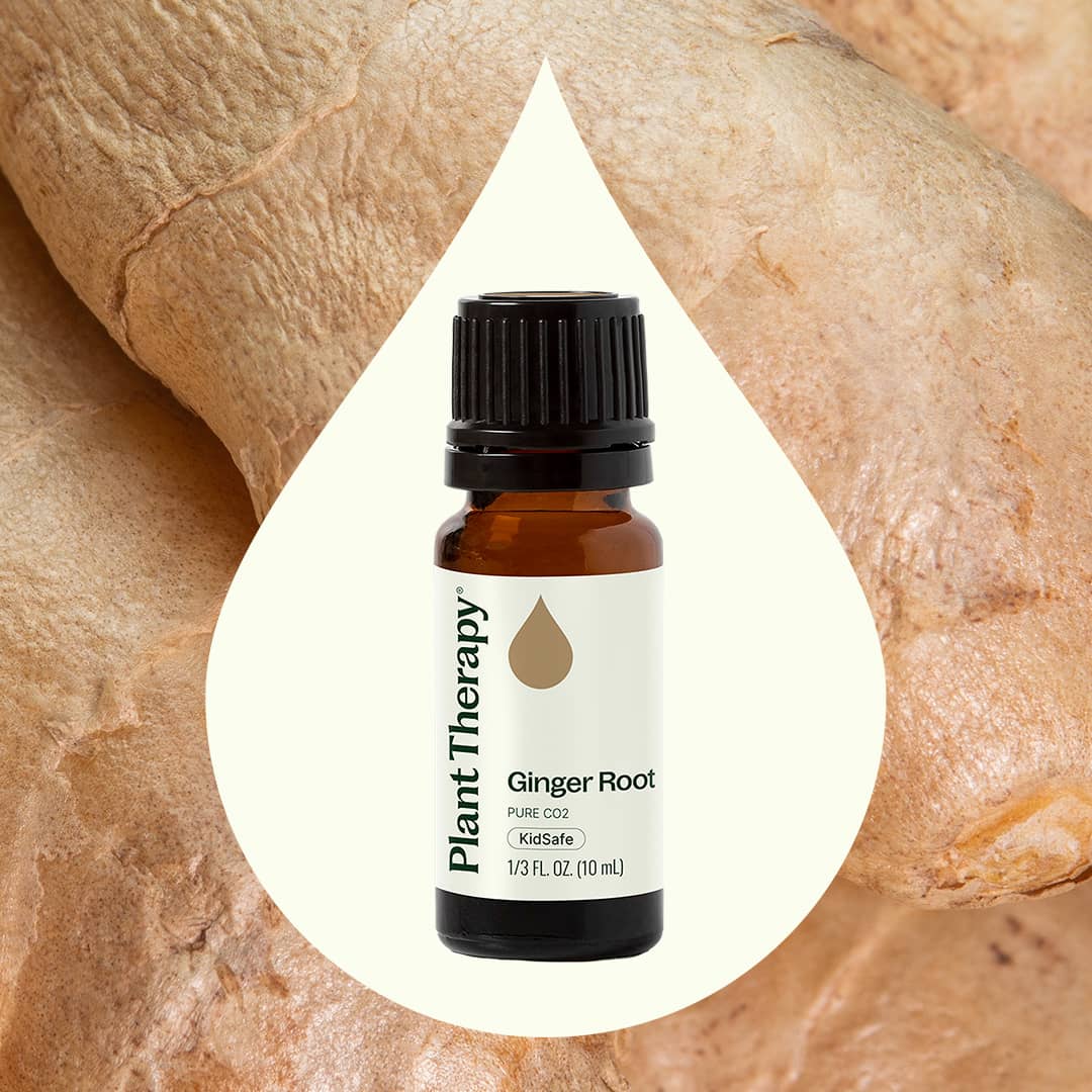 Ginger Root CO2 Extract