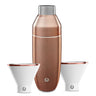 Stainless Steel Cocktail Shaker and Martini Glass Barware Set, White and Gold