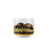 Golden Turmeric Blend | Organic spice blend for Turmeric Milk & cooking