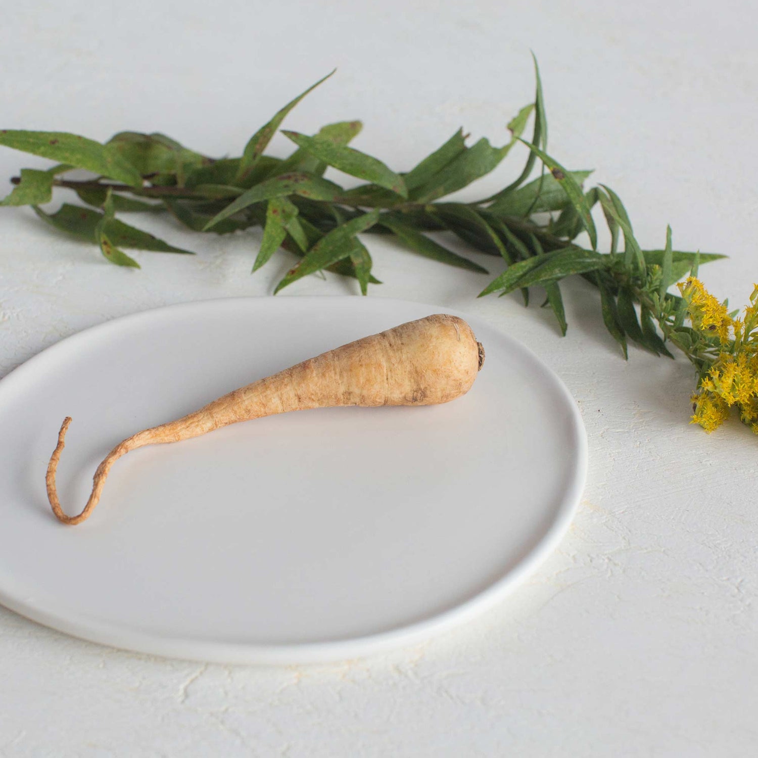 Ripple Salad Plate