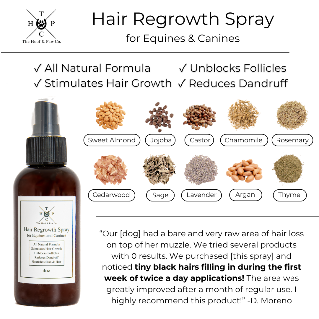 Hair Regrowth Spray for Dogs & Horses