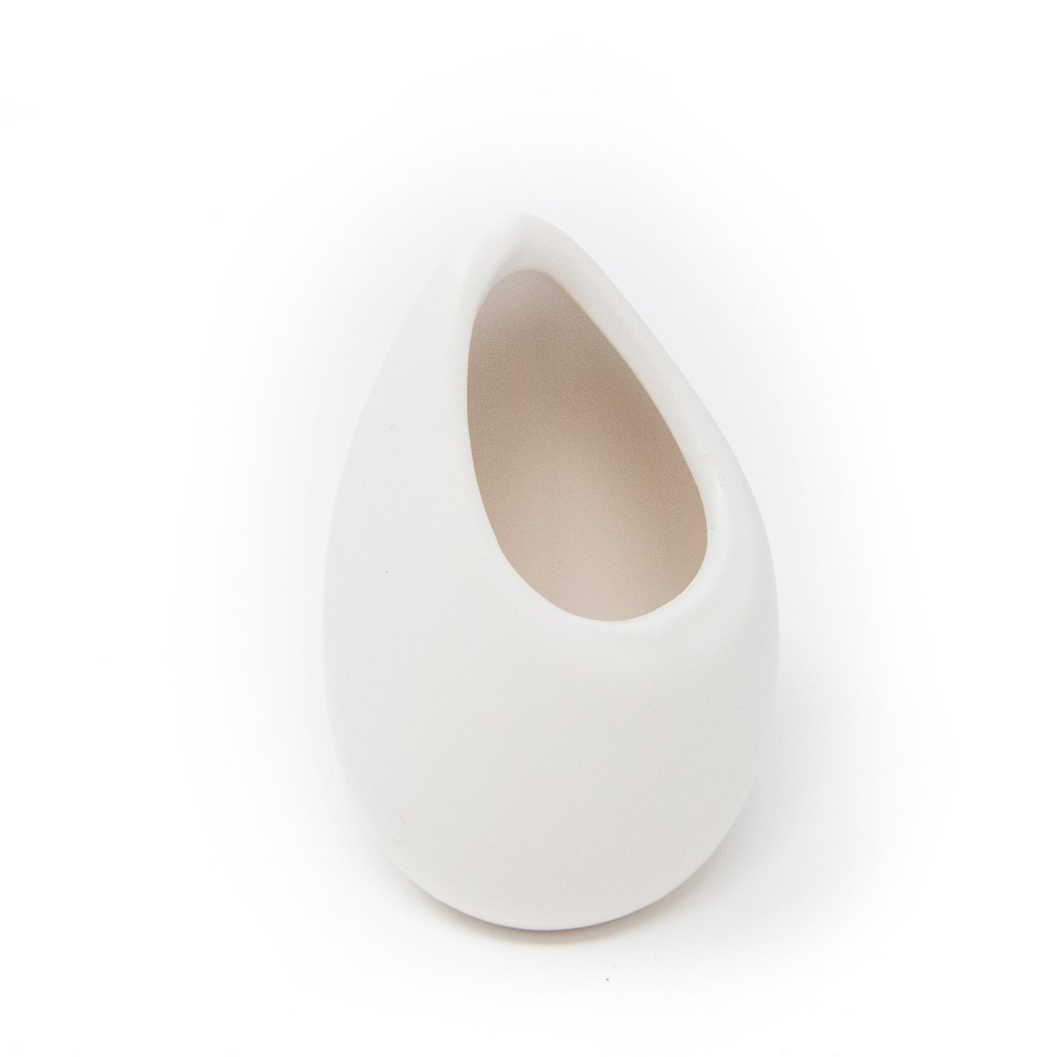 Sets of 3 or 6 Small Ivory Ceramic Vases with Tillandsia Velutina, Harrisii & Abdita Air Plants