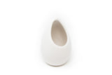 Large Ivory Ceramic Vase with Tillandsia Sparkler Air Plant