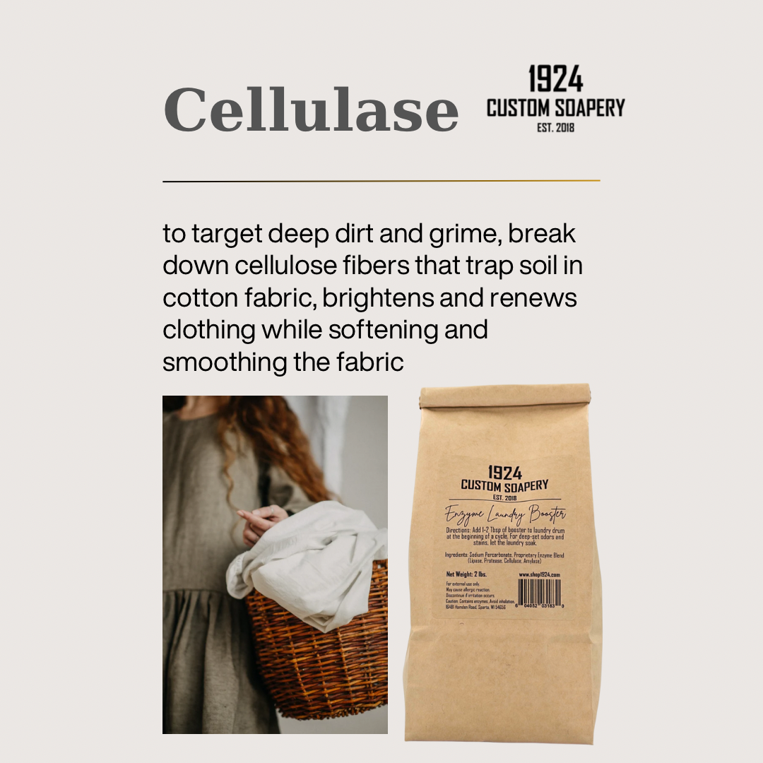 Enzyme Laundry Booster