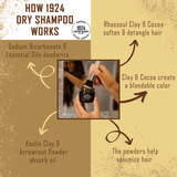 Lighter Hair Dry Shampoo