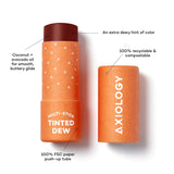 Tinted Dew Multi-Stick Makeup