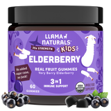 Kids Gut & Immune Support Bundle – Pre & Probiotic + Elderberry Gummies