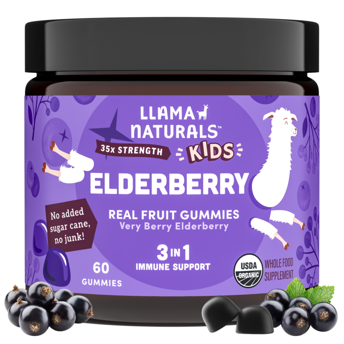 Kids Elderberry Immunity Gummies (60 ct)