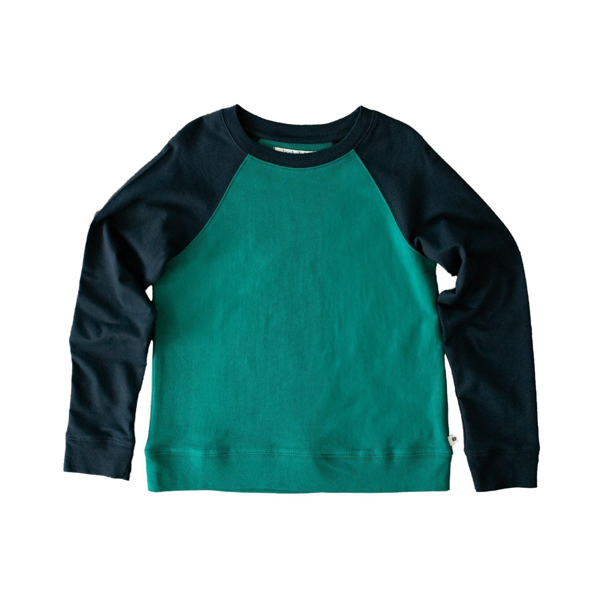 Stevie Raglan Sweatshirt Colorblock