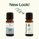 Laurel Leaf Essential Oil